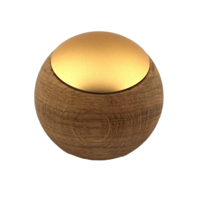 CASAMBI Fernbedienung LEPUK Eiche gold