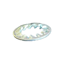 Fächerscheibe IZ Loch-D 10.5mm
