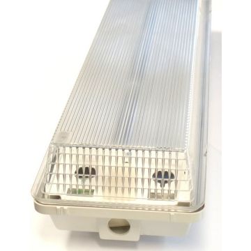 Ceiling fluorescent lamp, waterproof IP65, 2x18W