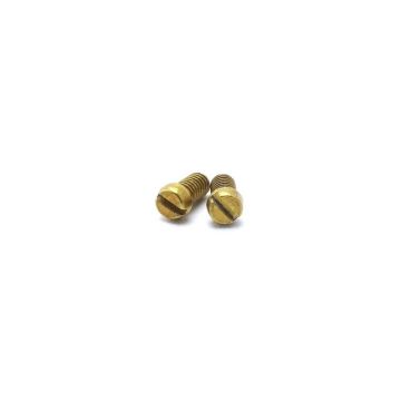 Screw M3x4.6