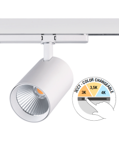 LED track spotlight Regina 3CCT 40W 40° DALI white LED track spotlight Regina 3CCT 40W 40° DALI white